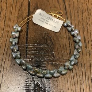 Alex and Ani Womens Boulder EWB, Robin Bangle Bracelet, Gold